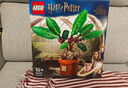 乐高（LEGO）积木 航海王 75639前进梅利号海贼船 新品玩具 生日礼物 实拍图
