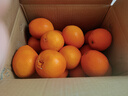 【热销】湖北秭归脐橙鲜果上市 净重9斤70-75m 实拍图