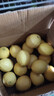 京鲜生 安岳黄柠檬16粒 单果95g-120g 生鲜水果 实拍图