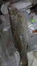 仙泉湖冷冻白蕉海鲈鱼2斤 肉厚刺少生鲜水产食材1斤*2条 生鲜年货食材 实拍图