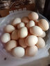 1号会员店富硒鲜鸡蛋30枚 源头直发 净重3斤 实拍图
