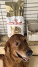 皇家狗粮 金毛成犬狗粮 犬粮 宠物大型犬 GR25 全价犬粮 ≥15月 12KG 实拍图