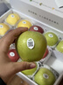 君恬果园全家福烟台苹果组合新鲜高端水果礼盒年货节日礼品15颗 至尊全家福（贵妃/皇金/翡翠） 实拍图