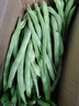 云南高山新鲜四季豆圆青豆现摘直发农家蔬菜鲜嫩饱满带箱2斤健康食材 实拍图