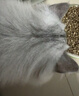 皇家猫粮 成猫猫粮 去毛球 IH34 通用粮 12月以上 2KG 实拍图