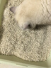 pidan猫砂 【京东定制款】超细豆腐膨润土混合猫砂2.4KG*4包自营皮蛋 实拍图