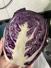 新鲜紫甘蓝生吃凉拌沙拉清脆爽口紫包菜农家自种现采现发新鲜蔬菜 清晨现采紫甘蓝2.5-3斤【单颗≥600g】 实拍图