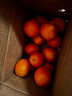 土八鲜赣南脐橙江西橙子赣州脐橙新鲜水果应季水果礼盒 奋斗橙净重4.5-5斤【果径60-69mm】 实拍图