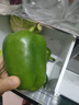 现摘新鲜圆辣椒超市即食太空椒皮厚肉多不辣水果灯笼椒 2斤普通装 2斤 实拍图