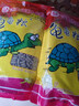 寸金（INCH-GOLD） 经典龟龟粮500g 乌龟 巴西龟饲料 水龟、半水龟粮 上浮型  实拍图