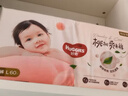 好奇（Huggies）铂金装小桃裤纸尿裤NB84片(5kg以下)尿不湿【透爽散热】 实拍图