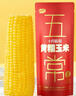 十月稻田 五常黄糯玉米 8根 3.52斤 东北甜粘玉米棒 真空包装 送礼礼盒  实拍图