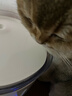 霍曼（Homerun）三代智能宠物饮水机 无线水泵自动循环流动水猫咪狗狗喂水器 实拍图