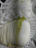 云南高原黄心娃娃菜大白菜新鲜蔬菜包心菜黄心白菜脆甜 新鲜娃娃菜5斤 实拍图