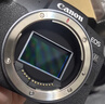 佳能（Canon）EOS RP 全画幅微单数码相机 24-105标准镜头套装 （约2620万像素/轻巧便携） 实拍图