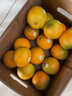 褚橙 云冠橙云南冰糖橙 特级 净重10斤 单果约165g  水果源头直发 实拍图