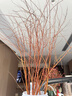 花翁干枝支水培植物花卉室内盆栽绿植 雪柳鲜枝70-80cm20支源头直发 实拍图
