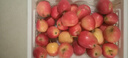 酷奇象 东北鸡心果【顺丰多地次日达-配送上门】小苹果沙果海棠果中秋礼 净重5斤甄选大果【10-12枚/斤】 精选装【80%客户选择-超划算】 实拍图