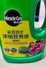 美乐棵植物通用型营养液花肥绿萝幸福树发财树花卉绿植家用盆栽肥料 通用型1L 实拍图