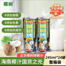 椰树牌正宗 椰子汁  245ml*24罐整箱装  植物蛋白饮料 年货节 实拍图