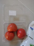 番茄约500g 实拍图