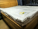京东京造阿金朵100%天然新疆棉花床垫 纯棉床垫床褥 1.5x2m 实拍图