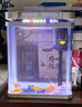 宠街坊小鱼缸一体缸自循环水族箱桌面客厅小型送礼生态鱼缸造景240 实拍图