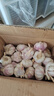 京鲜生河南杞县大蒜带皮新鲜干蒜净重3斤单果5.5-6cm 源头直发包邮 实拍图