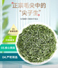 乐品乐茶特级毛尖茶叶绿茶2025明前春茶礼盒装250g送礼袋自己喝热门商品 实拍图