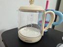 大宇（DAEWOO）【轻柔精炖好营养】小气泡养生壶 炖煮壶一体煮茶器小型烧水壶办公室玻璃0胶水花茶燕窝 1.5L YS11 实拍图
