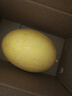 京鲜生 黄金哈密瓜 1粒装 单果3斤起  生鲜水果  实拍图