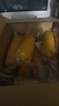 京鲜生东北黄玉米棒200g×8棒25年新玉米 真空黏玉米 多种包装 源头直发 实拍图