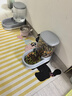 华元宠具超大容量宠物自动喂食器狗狗饮水机狗盆猫碗喂水猫咪投食器套装 实拍图