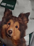 网易严选10kg网易天成鲜肉犬粮无谷全价三拼冻干狗粮全阶段通用幼犬成犬 实拍图