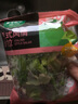 一号农场开袋即食意式风情沙拉150g*3芝麻汁蔬菜沙拉轻食健身代餐源头直发 实拍图