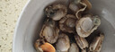 富海锦冷冻带黄扇贝肉 净重2斤 粉丝扇贝食材 火锅烧烤食材海鲜 送礼 实拍图