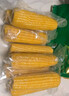 十月稻田 黄甜糯玉米 8根 3.52斤 真空包装 东北粘玉米棒 低脂早餐 实拍图