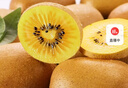 京鲜生 四川黄心猕猴桃 16粒 单果约90-110g 奇异果 生鲜水果礼盒 实拍图