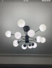 雷士（NVC）北欧现代魔豆分子客厅吊灯简约百搭餐厅吊灯卧室灯具灯饰全屋套餐 魔豆雅黑 12头分子灯【智能款】 实拍图