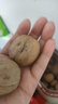 楼兰蜜语 薄皮大核桃500g/袋*2 新疆纸皮核桃 新二核桃零食 果炒货  实拍图