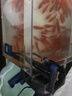 森森（SUNSUN）鱼缸过滤器壁挂式过滤泵水族箱乌龟缸三合一过滤设备 【低水位可用】2W小号+培菌滤材 适合长30cm内鱼缸 实拍图