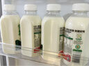悦鲜活鲜牛奶 有机450ml*3瓶 鲜牛奶 低温奶 巴氏杀菌乳 生鲜 实拍图