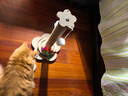 HELLOJOY猫抓柱剑麻猫抓板猫玩具耐抓耐磨不掉屑猫爬架立式自嗨解闷用品 实拍图