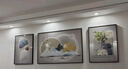 诗六艺家饰客厅装饰画北欧现代简约沙发背景墙挂画三联画大气轻奢壁画晶瓷画 吉祥如意（铝合金外框） 晶瓷画左右50*70+中间100*70亮面 实拍图