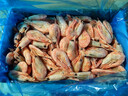 美加佳熟冻北极甜虾腹籽净重3斤 90/120规格   熟冻甜虾 海鲜水产 实拍图