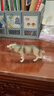 思乐（Schleich S）新年礼物仿真动物模型 老虎狮子狼豹白虎猞猁男女孩儿童玩具生日 狼14821 实拍图