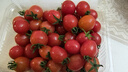 京鲜生广西千禧小番茄净果2斤 盒装 （单果6g+） 新鲜包邮 源头直发 实拍图