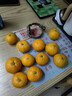 临海涌泉蜜桔约1kg 单果60mm 实拍图