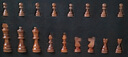 DALYKATE【人气推荐】国际象棋实木高档儿童磁性便携西洋棋子国际象棋比赛 24cm小号象棋(送双后) 实拍图