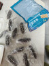 久年大连即食海参京东自营4斤40-48只独立包装 量贩装辽刺参海鲜礼盒 实拍图